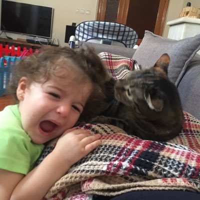 PatPatDid1's profile picture. Olur öyle şeyler