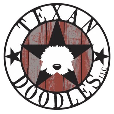 TexanDoodles's profile picture. Small Texan Labradoodle breeder
