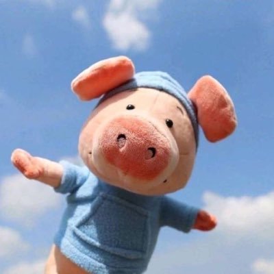 liyivi's profile picture. 随机漫步的量子纠缠不清