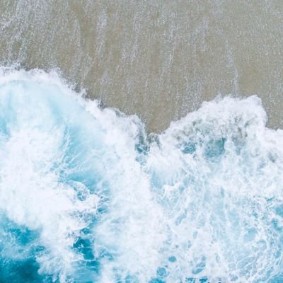 thedilharafelek's profile picture. 