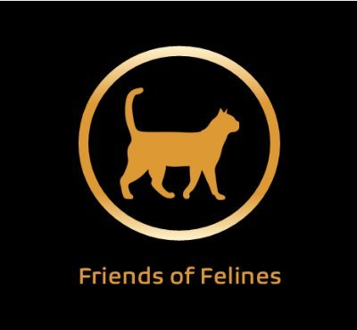 FriendsFelines's profile picture. Cat fostering and adoption across East Anglia, England.
We can help find your cat a new home. We also have trap, neuter, return or trap, neuter, adopt projects.