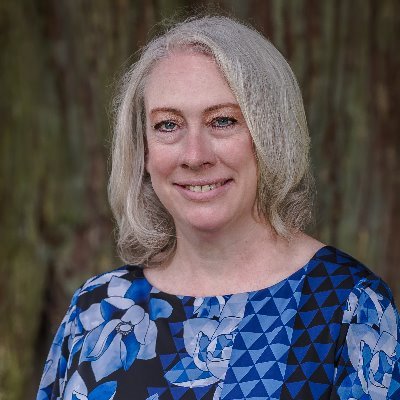 darlaridilla's profile picture.
