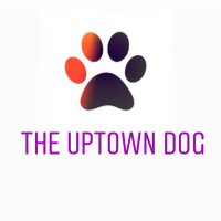 The Uptown Dog(@TheUptownDog1) 's Twitter Profile Photo