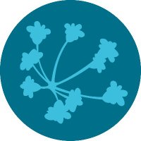 CSCCE (@thecscce) 's Twitter Profile