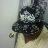 I am cool guy.a boss and I love to stunt I also follow back if you decide to make me the one
