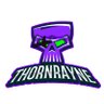 Thornrayne's profile picture. Father, husband, Host of @blackwatchreprt, Gold tier OW pleb, @TheRogueEnergy affiliate