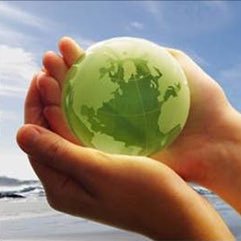 kerkenmilieu's profile picture. Duurzame omgang met de schepping 🌎