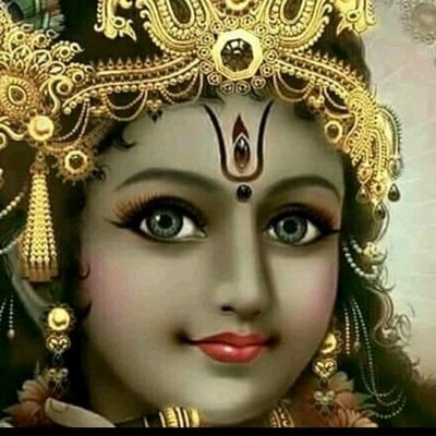 @VishalJ59462783