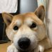 @hiro_juiz