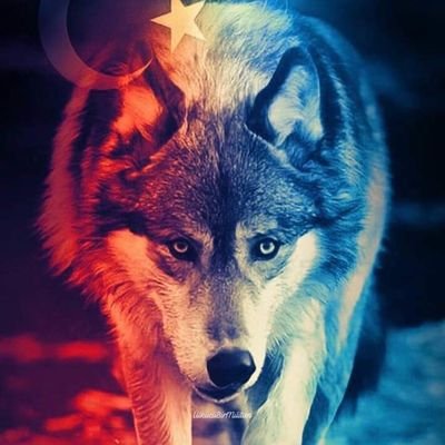 Ateşe dokunanın elleri yanarmış..
oda ne ki?
insan’a dokunanın yüreği yanıyor...
______ Vesselâm