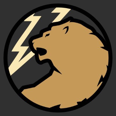 LionBoltMedia's profile picture. We help real estate professionals to consistently generate high value clients by utilizing bleeding edge digital marketing. #LionBoltMedia 🦁⚡️