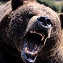 kjWhhFMSt3uAWVv's profile picture. 