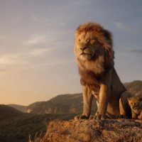 dabookreader99 (@dabookreader99) 's Twitter Profile