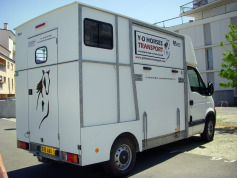 TRANSPORTCHEVAL's profile picture. Transporteur de chevaux professionnel mais aussi cavalier, garant de la sécurité et du confort de vos équidés. Je me déplace sur toute la France 7j/7 0647673857