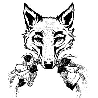 California Gold (@caligold_bar) 's Twitter Profile