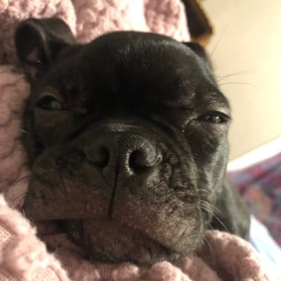 fullgrowntodler's profile picture. Gamer