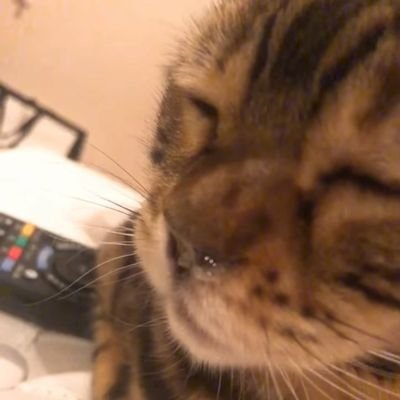 cbc598ae7163461's profile picture. 歌が上手い人が好きー！

ジェジュンが好きー！あの細い体でのあの声量😦😦😦びっくりするくらい凄かった！
最近地元県(ღ˘⌣˘ღ)iloveyouたくさんいい所あるので細々と呟きます😀
美味しい物をたくさん食べるのが大好き♡なので食べまくります(　˙ ؂ ˙　)ぺろ