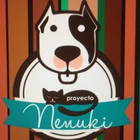 Proyecto Nenuki(@Proyecto_Nenuki) 's Twitter Profile Photo