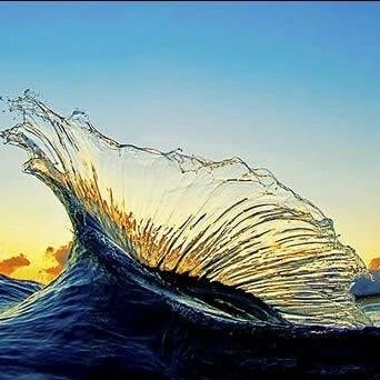 AdrianZhuxilong's profile picture. Be or not to be