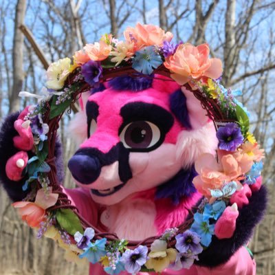 Ohioan, cosplayer, fursuiter, anime conchair, YouTuber and gamer. Next cons: Dokidokon, Kokorokon