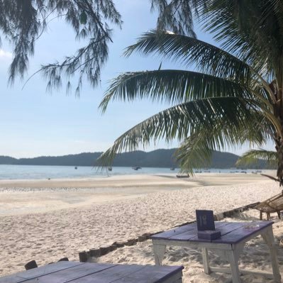 VeronicaPrimer5's profile picture. Phys 273