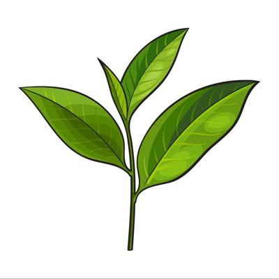 kingtealeaf's profile picture. 