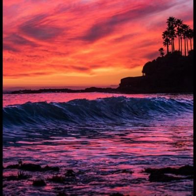 Onlyfans brooklyn figley