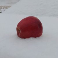 Scorpio (@scorpio41601282) 's Twitter Profile