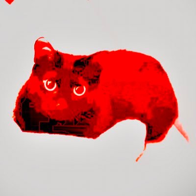 donuts842's profile picture. Fall seven times and stand up eight.