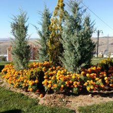 ErtrkEr4's profile picture. 