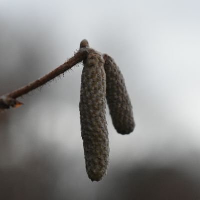 EmiShtt's profile picture. 📍Sachsen 《Germany》 
🎂 17.08 
#greeenfam🥦🦈
@dacklsachsn💚