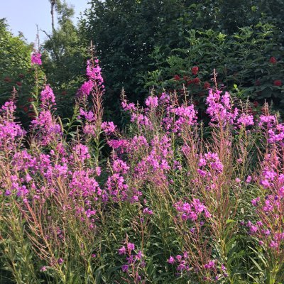 CarolynKauffm16's profile picture. 