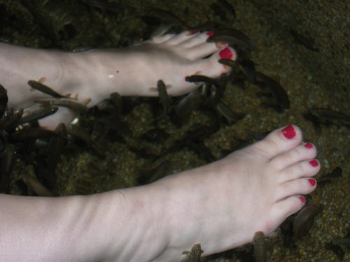 steph41b's profile picture. 