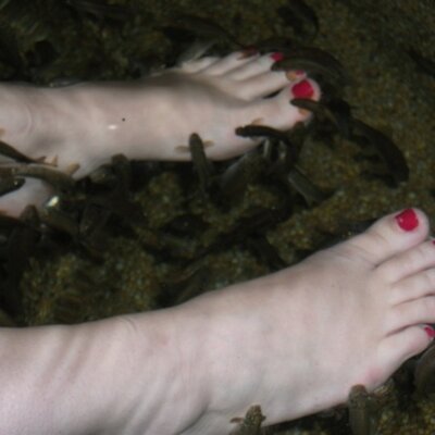 steph41b's profile image