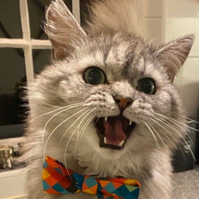 clairemacccc's profile picture. 