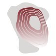 Corify Care Profile