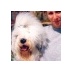 grivla (@grivla) Twitter profile photo grivla (@grivla) Twitter profile photo