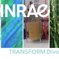 INRAE TRANSFORM FoodBioprodWasteEng(@INRAE_TRANSFORM) 's Twitter Profileg