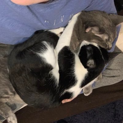 thatsnotrando's profile picture. Parler: @thatsnotrandom