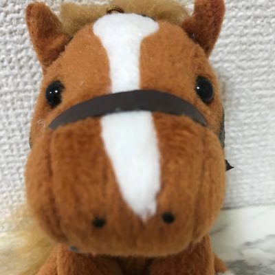 オルフェーヴル好きの貧乏サラリーマン 広尾一口馬主/コスモライセンス2018/ハイアーラヴ2018/浜中俊/ロジャーバローズ/いつかオルフェーヴル産駒が凱旋門賞を勝つことを信じて