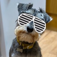 Simon Gauld (@simonski) 's Twitter Profile