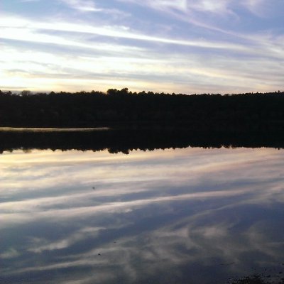 PublicaFides's profile picture. "Aucune vie, aucune brutalité sur terre n'a fait verser autant de sang que la lâcheté humaine. " Stefan Zweig