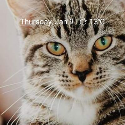 NeerajK93026119's profile picture. 🙏माना कि दुनिया बुरी है सब कुछ धोखा है।
पर हम तो सही बनें हमें किसने रोका है 🙏