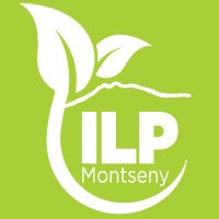ILP Montseny (@ilpmontseny) 's Twitter Profile