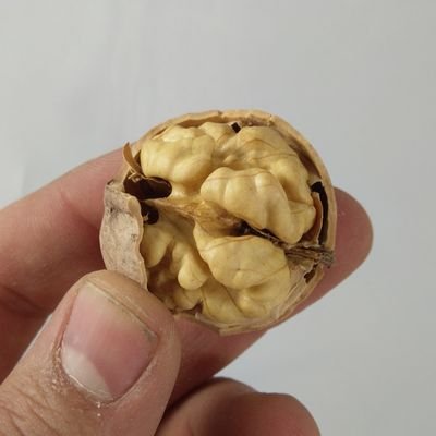 من عاشق مربا انجیرم ، اما خیلی وقت توسعه دهنده #وردپرس هستم .