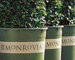 See the Horticulture Industry through the eyes of Monrovia's Sales Professionals.