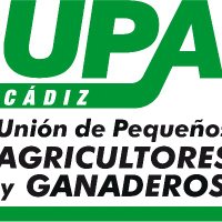 Upa Cádiz (@cadizupa) 's Twitter Profile