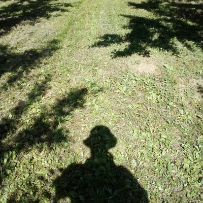 ikonik3's profile picture. extreme painting technologies, have paintbrush, will travel..