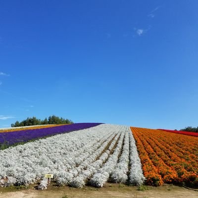 宜しくお願いします。