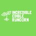 Incredible Edible Runcorn (@EdibleRuncorn) Twitter profile photo